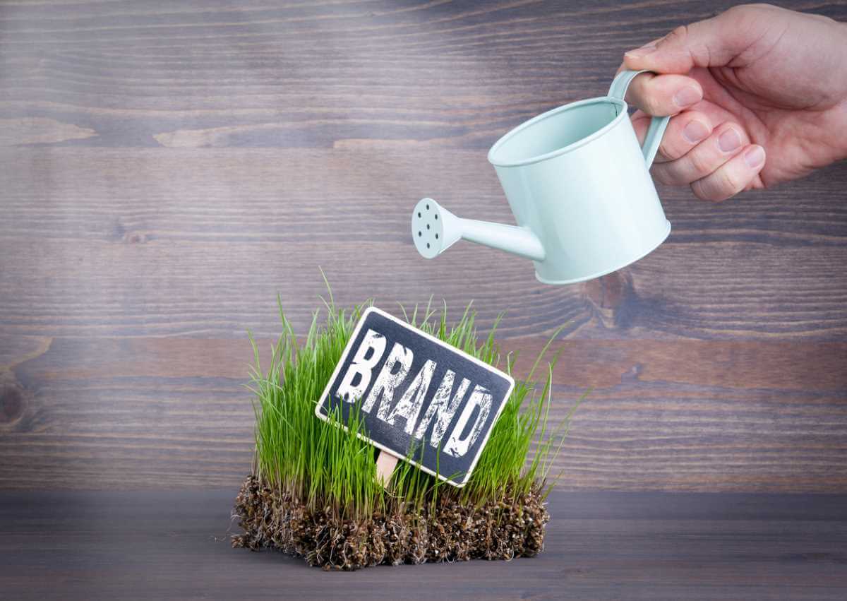 Brand Building